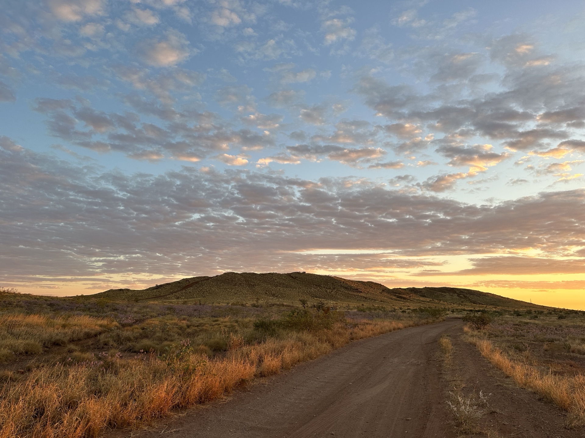 Co-Creation Catch Up